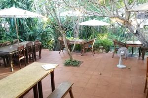  at Big Tree Cafe in Luang Prabang