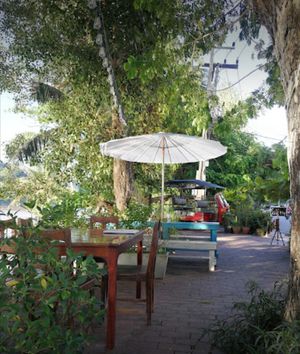  at Big Tree Cafe in Luang Prabang