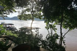 at Big Tree Cafe in Luang Prabang