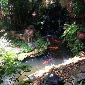 waterfall and fish at Blue Diamond in Chiang Mai