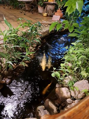  at Blue Diamond in Chiang Mai