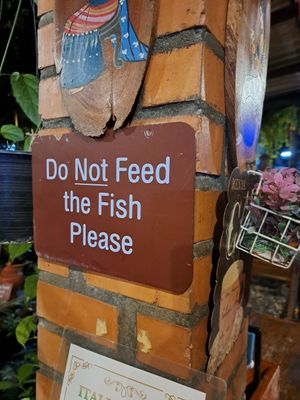  at Blue Diamond in Chiang Mai