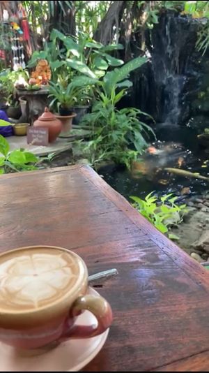   at Blue Diamond in Chiang Mai