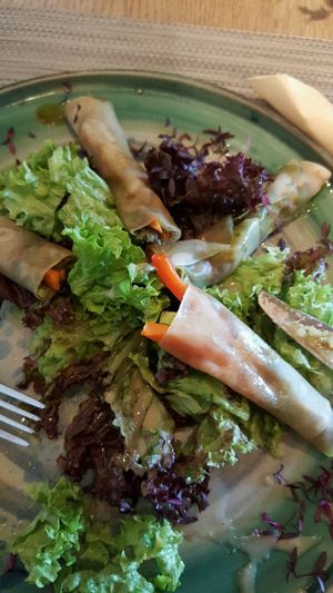 mandala rolls, excellent  at Mandala in Belgrade