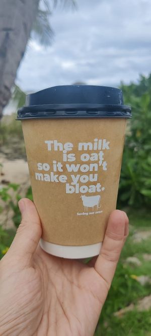  at SHAKA - Siargao in Siargao