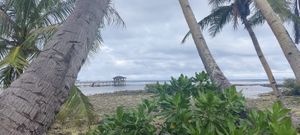 at SHAKA - Siargao in Siargao