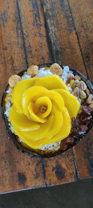  at SHAKA - Siargao in Siargao