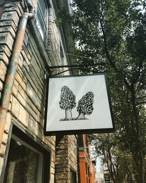 Yay!! at Morels Cafe in Louisville