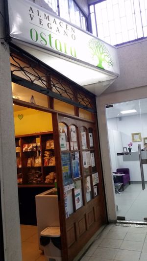Store front at Almacen Vegano Ostara in Santiago