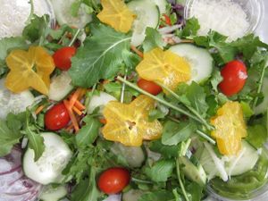 Farm Fresh Seasonal Salad..... at Bambi's Country Farm Market in High Springs