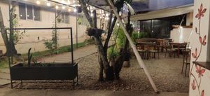  at Fratello Vegan in Cuenca