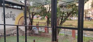  at Fratello Vegan in Cuenca