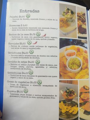  at Fratello Vegan in Cuenca