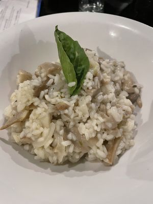   at Fratello Vegan in Cuenca