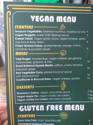 Vegan menu at Vincenzo's Grill House in Limerick
