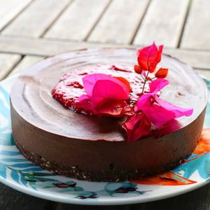  at Peace of Eden in Knysna