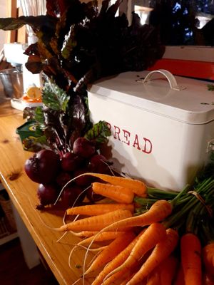 Organic veg.... wherever possible :) at Peace of Eden in Knysna