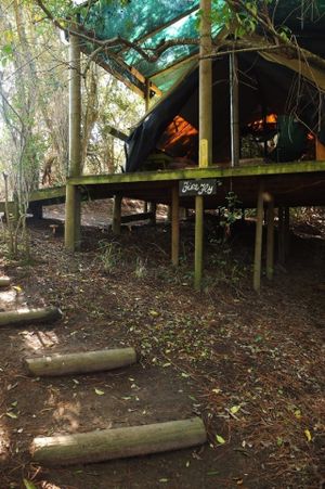 Magical forest tents on stilts high up in the trees at Peace of Eden in Knysna