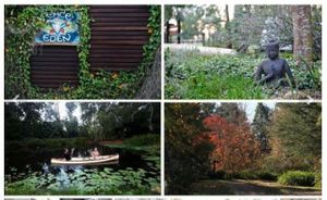 a album of pics at peace of eden at Peace of Eden in Knysna