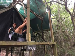 magical forest tents in the forest, where you can relax and be close to nature at Peace of Eden in Knysna