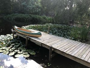 Pond at the location  at Peace of Eden in Knysna