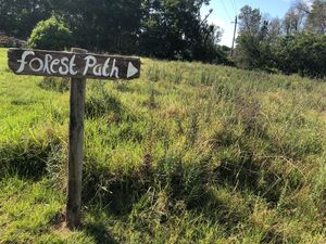 Stunning paths all over!  at Peace of Eden in Knysna