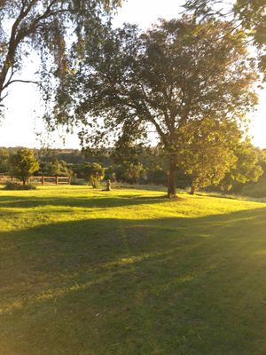 Field  at Peace of Eden in Knysna
