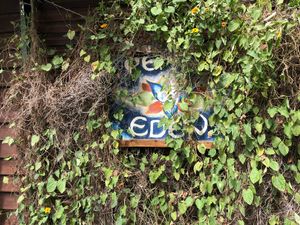 Found the little “Peace of Eden” sign eventually!  at Peace of Eden in Knysna