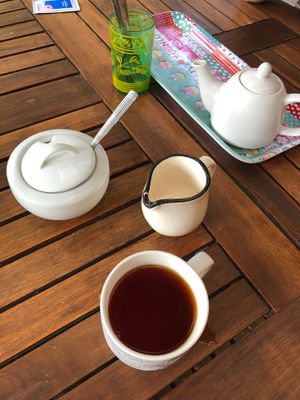 Morning tea  at Peace of Eden in Knysna