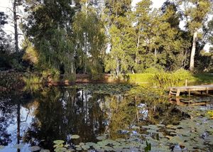 Peace of Eden at Peace of Eden in Knysna