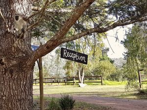 Peace of Eden at Peace of Eden in Knysna