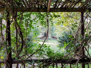 Peace of Eden at Peace of Eden in Knysna