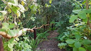 Peace of Eden at Peace of Eden in Knysna