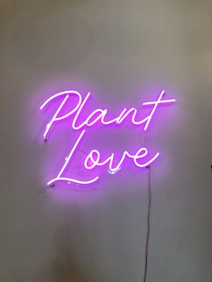   at Nourish Cafe in San Francisco