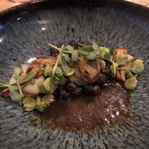 Kapucijners met soubise, dubbel gedopte tuinbonen, gebakken akkerpaddestoelen, zomerpostelein, zoetzuur van knolselderij en een knolselderij jus. at Morris and Bella in Amsterdam