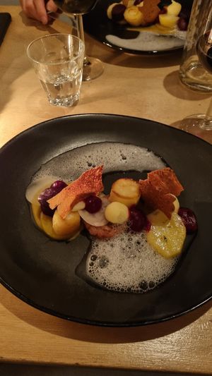  at Morris and Bella in Amsterdam