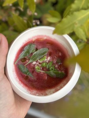   at Morris and Bella in Amsterdam