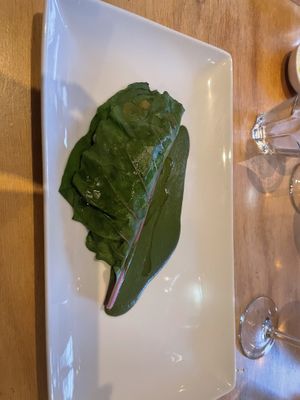 Intermediate course   at Morris and Bella in Amsterdam