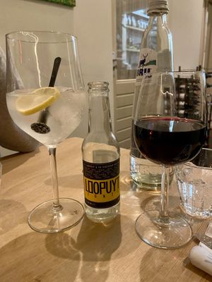 North Sea gin & tonic (tasty) and Dornfelder red wine (mild and flavoursome)  at Morris and Bella in Amsterdam