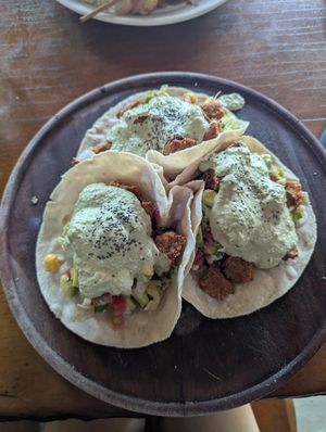 Falafel tacos at Luz de Mar in Rurrenabaque