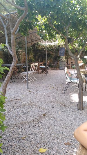 Garden at S'Hortet in Mallorca