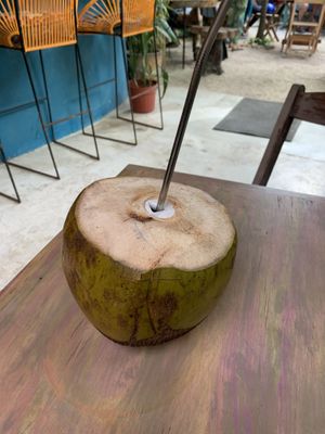 Coconut   at Raw Love - Downtown Tulum in Tulum