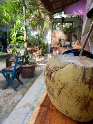 Coconut water  at Raw Love - Downtown Tulum in Tulum