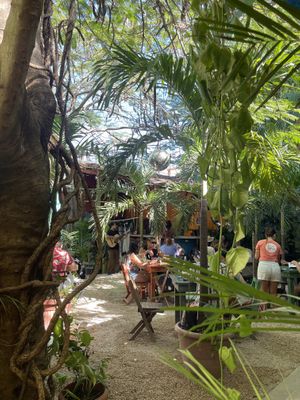 El lugar  at Raw Love - Downtown Tulum in Tulum