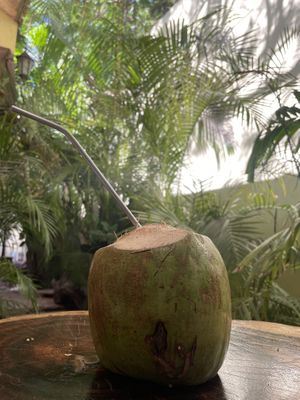 Coco  at Raw Love - Downtown Tulum in Tulum