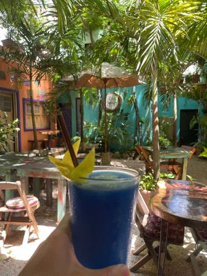 So refreshing: coconut, lime, blue spirulina  at Raw Love - Downtown Tulum in Tulum