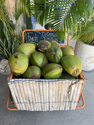 Fresh coconut water, my fav 🥥🙌🏽 at Raw Love - Downtown Tulum in Tulum