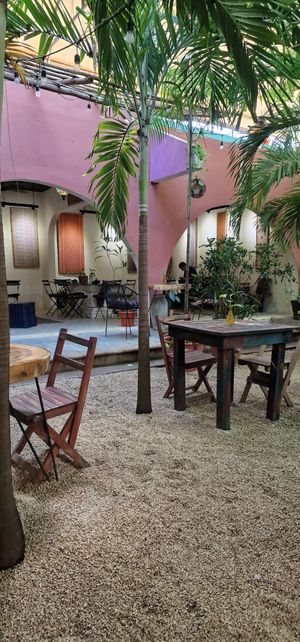 Little garden at Raw Love - Downtown Tulum in Tulum