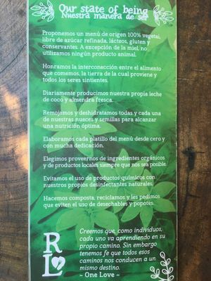 “Our state is being" at Raw Love - Downtown Tulum in Tulum