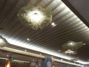 the light fixtures at Philanthropian Veganism Restaurant in Beijing